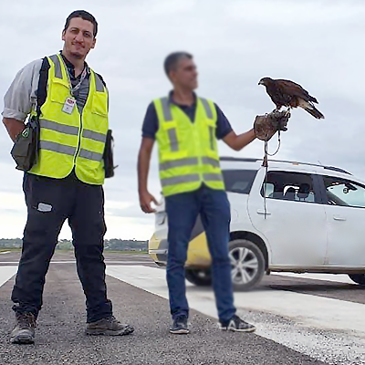 Controle de Fauna em Aeroportos