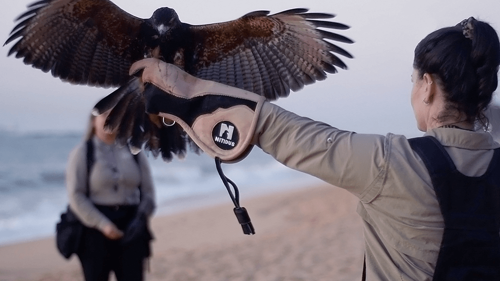 Instrutora com Gavião