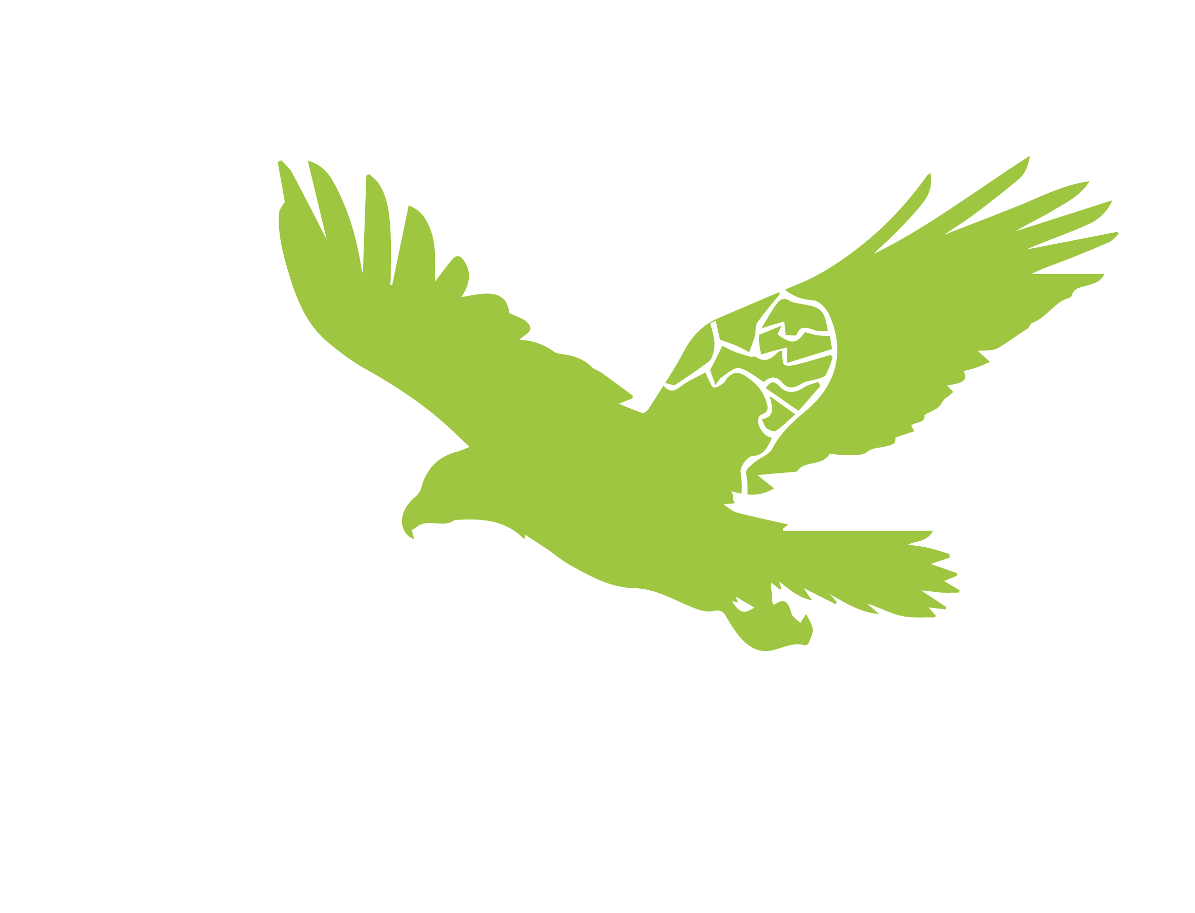 Mapa do Brasil com Gavião voando